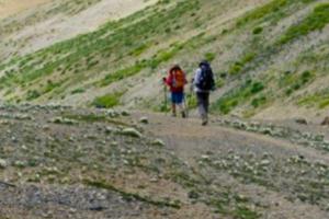 Ladakh Trekking