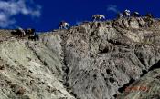 Ladakh Trekking