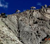 Ladakh Trekking