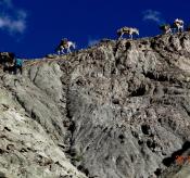 Ladakh Trekking