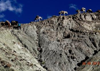 Western Tibet Nomad Area Trek