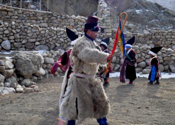 WISE- TREK & TOUR Himalaya ladakh