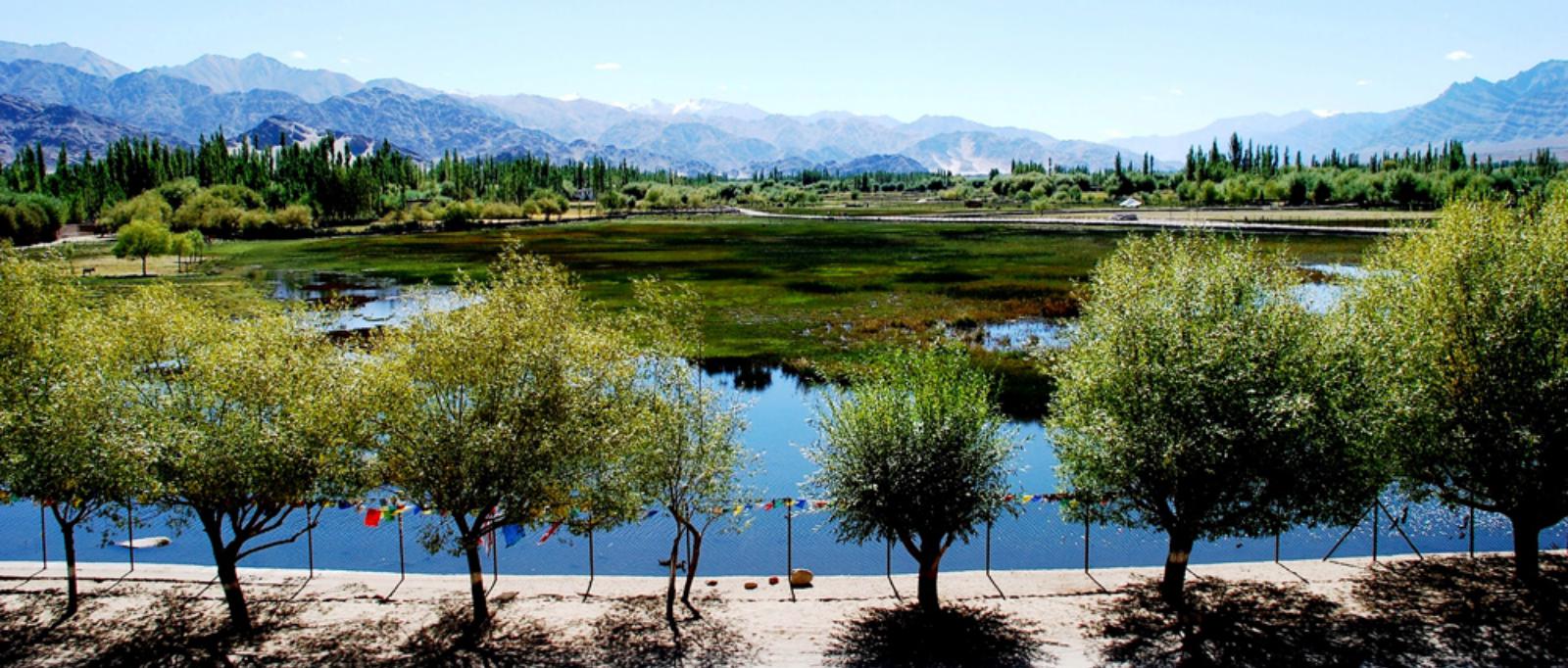 Tsomoriri Lake