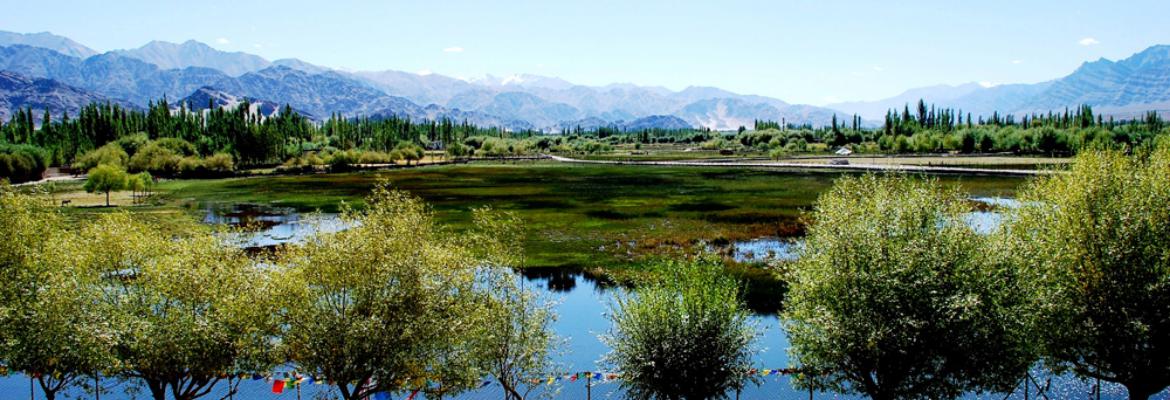 Jeep Safari Himalaya Ladakh